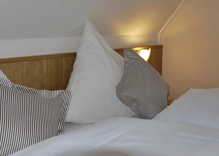 Pensión Zur Post 3*